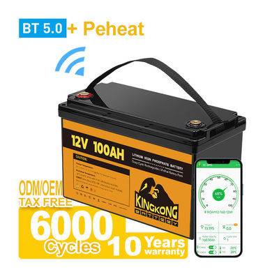 Split OEM Poland LiFePo4 Battery 12v 24v 36V 48v Energy Storage Battery IP65 Waterproof Heating Pad Customize
