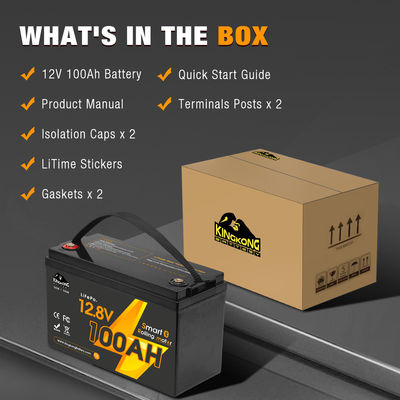 Electric Boat Lifepo4 Battery Pack 12V 24V