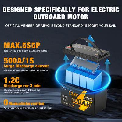 Exide 12V 24 48V Volt 5 7 9 12 14 18 20 24 28 35 50 100 110 120 150 200 300Ah Amp Hour Hr Deep Cycle Lifepo4 Lithium Ion Battery