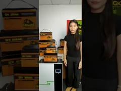 12V 48V 120Ah 150Ah 170Ah 200Ah 300Ah LiFePO4 Lithium Ion Battery Pack For Submarines