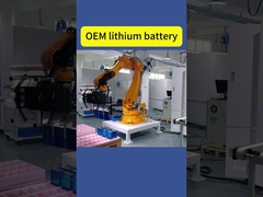 OEM lithium battery