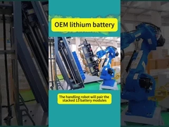 OEM lithium battery