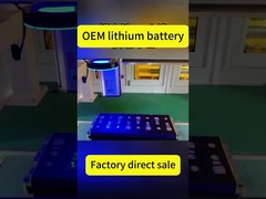 OEM lithium battery