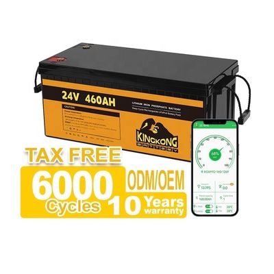 24V 50Ah 60Ah 100Ah 200Ah 230Ah 300Ah 400Ah 460Ah Iron Lithium LifePo4 Battery With BMS