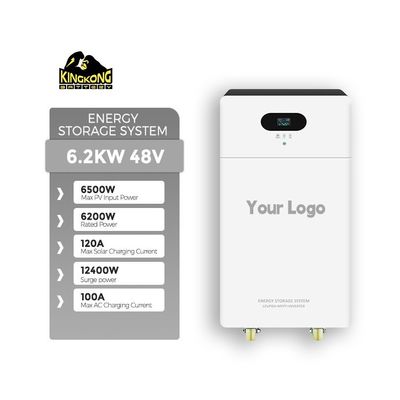 3.6KW Dual Output Monocrystalline Silicon Solar Inverter with 24V 100Ah Lithium Battery